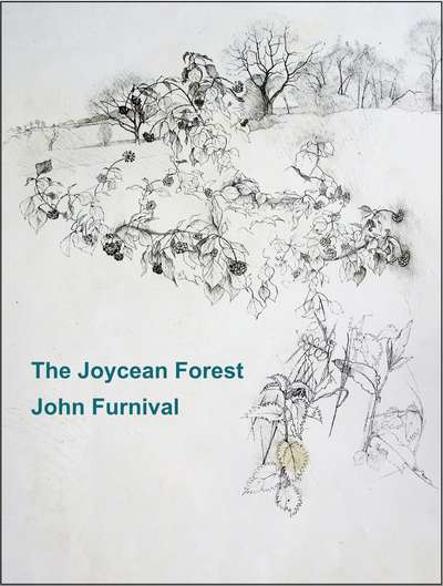 Joyce's Ulysses Series - John Furnival